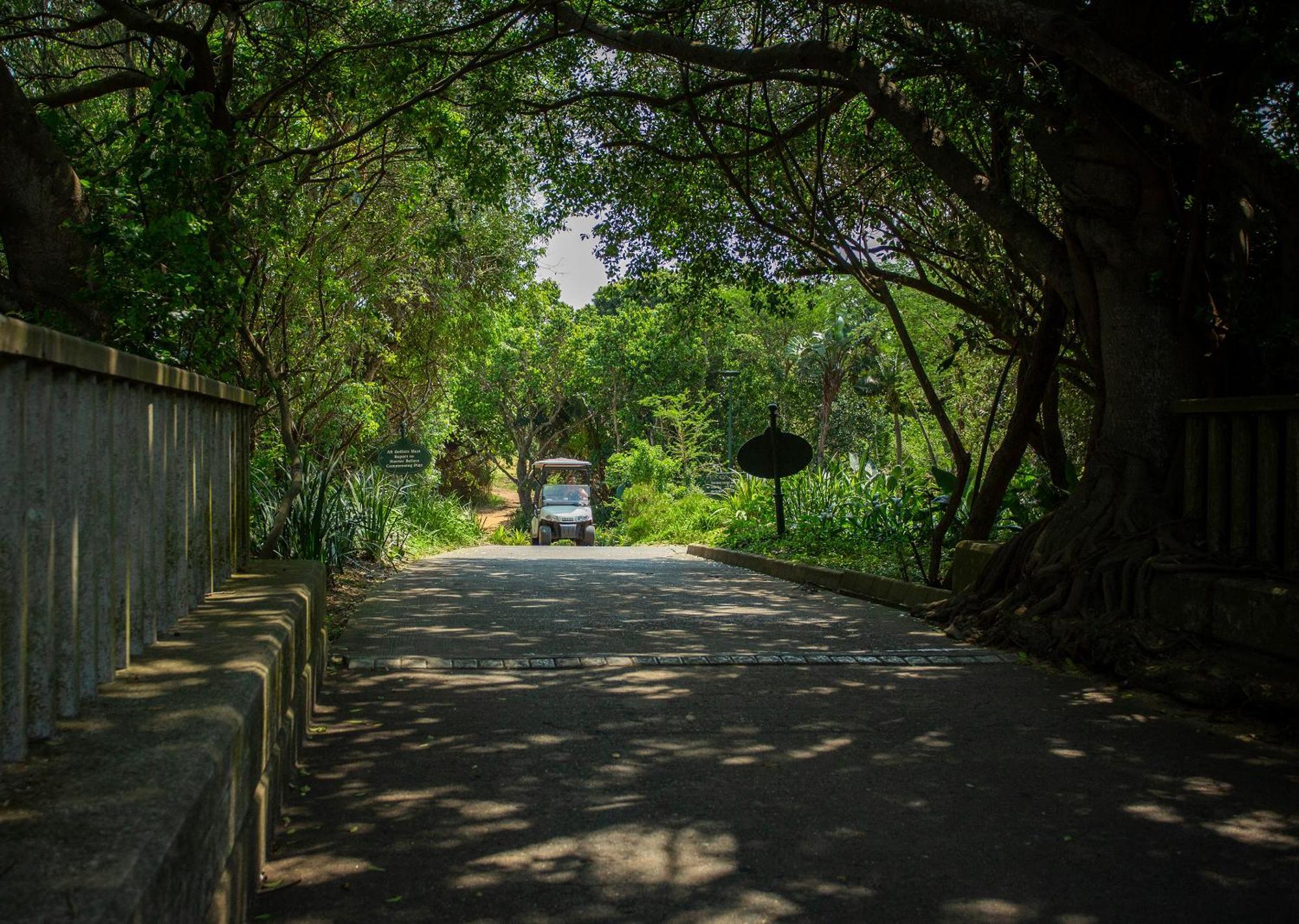 Zimbali Lodge By Dream Resorts uMhlali Kültér fotó